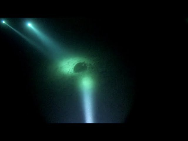Plongée à La Gombe de nuit
