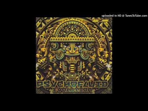 SHAGMA - HUGE AND ALIVE