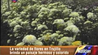 preview picture of video 'Imagenes de mi tierra   Trujillo'