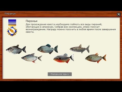 Русская Рыбалка 3.99 Квест Пираньи