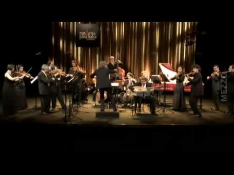 Il Giardino Armonico - Vivaldi - Concerto for strings in G minor RV 157