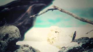 Allah-Las - Nothing To Hide (2014)