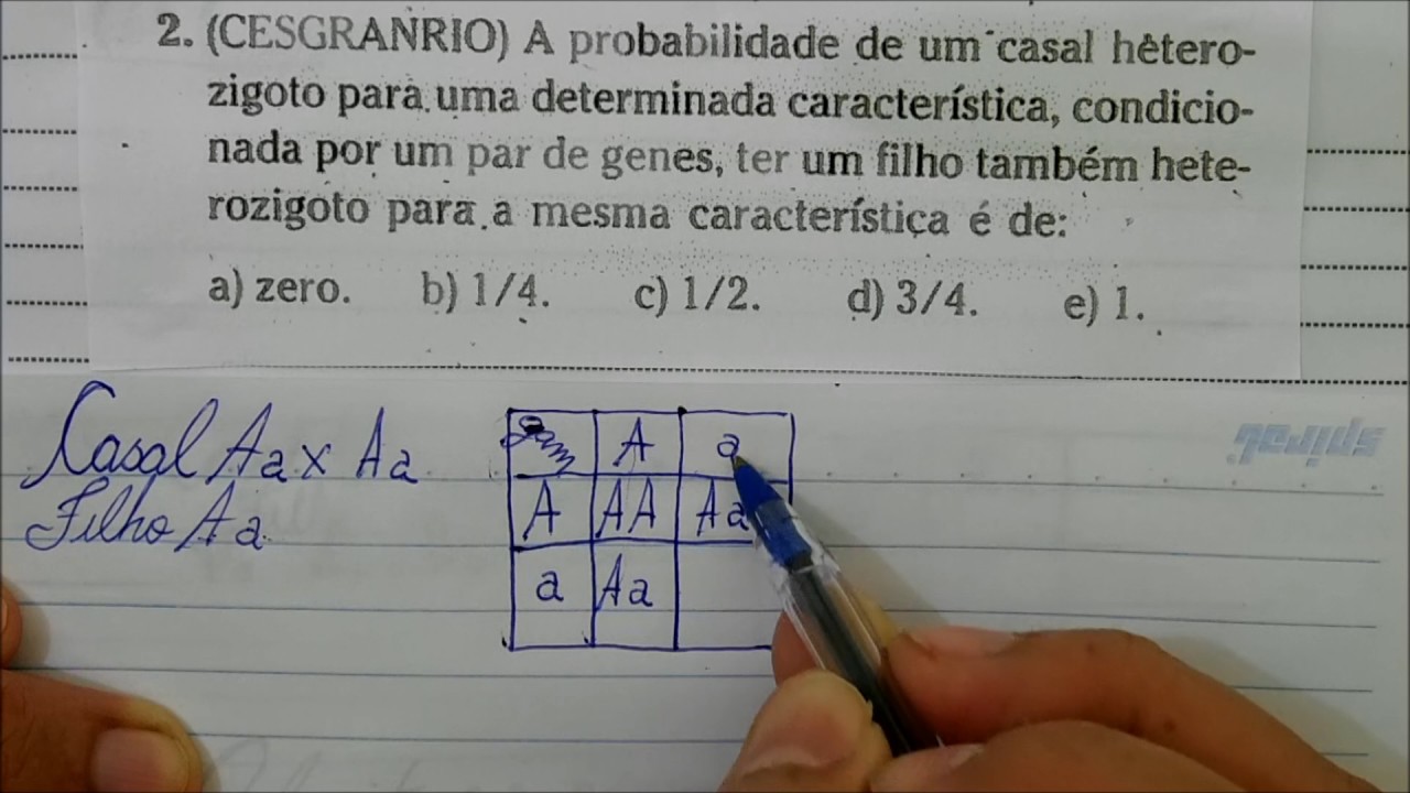 PROBABILIDADE NA PRIMEIRA LEI DE MENDEL (GENÉTICA) - Angelo Vieira
