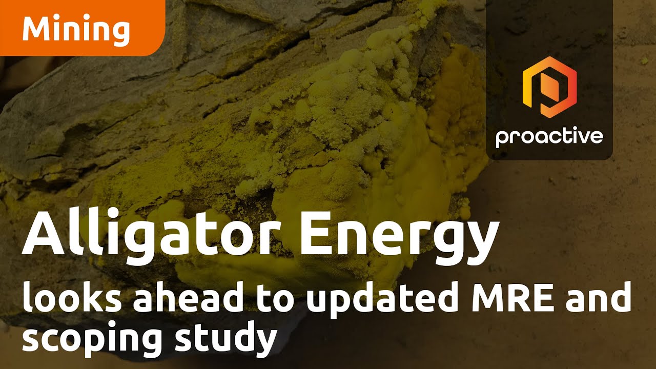 Alligator Energy looks ahead to updated MRE and scoping study for Samphire