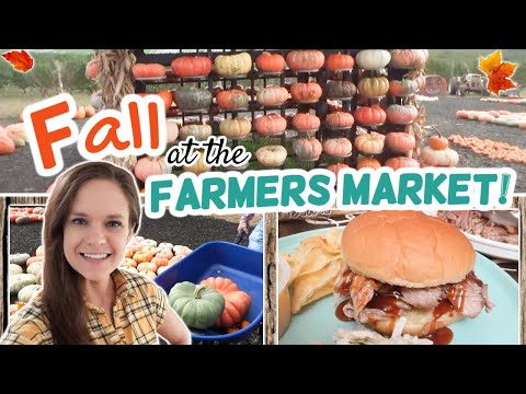 We did it again...π Slow Cooker Apple Cider Pulled Pork and the Pumpkin Patch