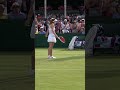 The strangest way to win a point at Wimbledon #Shorts