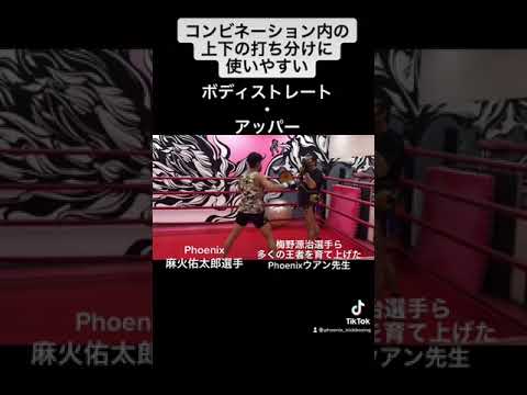 コンビネーション内の上下の打ち分けに使いやすいコンビネーション（ボディストレート・アッパー）