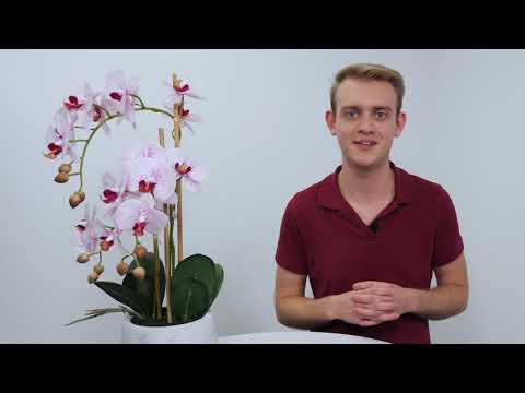 Kosmos Apotheke Ratgeber - Folge 29 - Versteckter Zucker