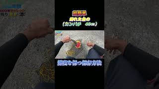 超簡単！釣った魚（カンパチ　40㎝）を鮮度を保つ方法で保存してみた。#shorts #釣り #ショアジギング