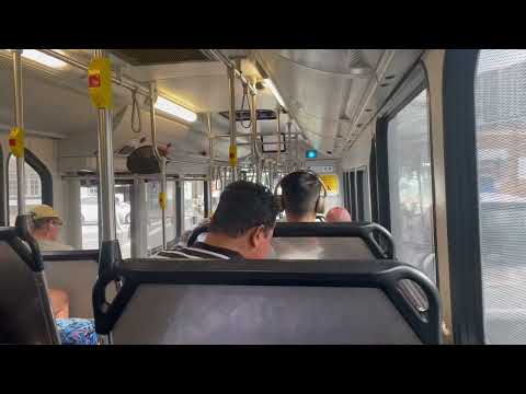 Transdev John Holland #1811 (Mercedes Benz O500LE CNG, ZF, Custom Coaches CB60 Evo II) route 309