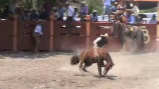 preview picture of video 'Final del Estatal Veracruz 2012, Jineteo de Yegua de Bernardo Caballo Hernandez Toma 2'