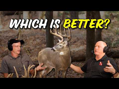 PINES are better than Hardwoods for big bucks??