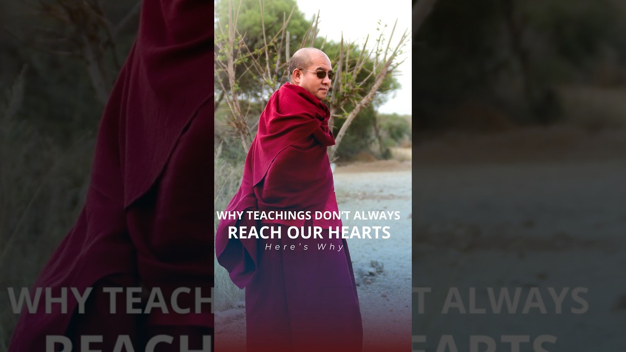 Why Teachings Don't Always Reach Our Hearts… Here's Why （Khenpo Sodargye）