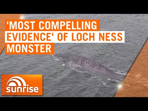 New photo of Loch Ness Monster could be most compelling evidence yet | 7NEWS