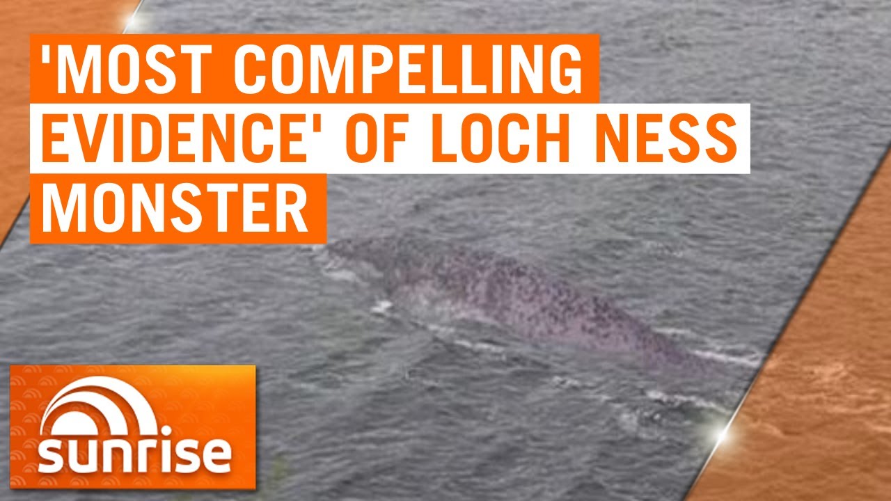 New photo of Loch Ness Monster could be most compelling evidence yet | 7NEWS