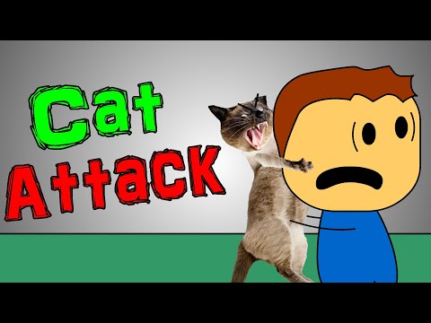 Brewstew - Cat Attack