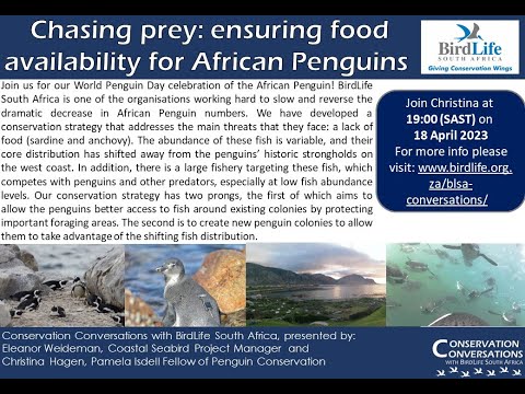 Conservation Conversations: African Penguins - Eleanor Weideman & Christina Hagen (18 April 2023)