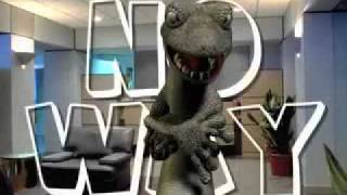 Dan Deacon and Liam Lynch - Drinking Out of Cups.flv