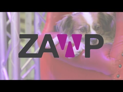 AFTERMOVIE: ZAWP