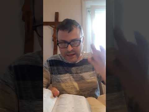 Behemot= satana la prima creazione di Dio. Bibbia dei Testimoni di Geova manipolato Giobbe  40,19