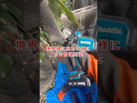 新しい季節を安全に始めるために、冬に庭を害虫から守るにはどうすればよいですか？  庭園