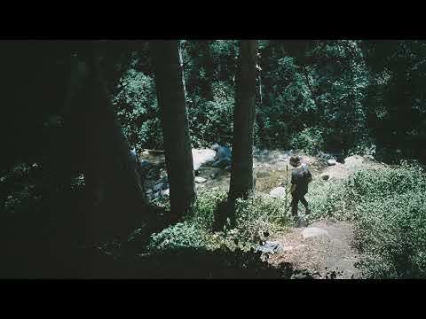 Chance Peña - Wolves Of Worry (Official Audio)