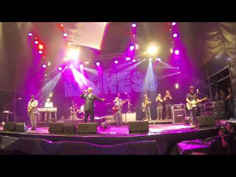 Madness (live @GruVillage 105 Music Festival, 2018)