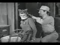 Tiger Woman