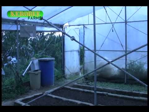 download lagu mp3 mp4 Farm Dost, download lagu Farm Dost gratis, unduh video klip Farm Dost