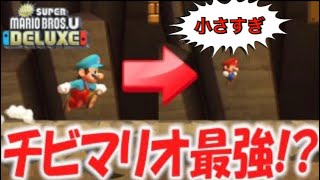 #6【NewスーパーマリオブラザーズUデラックス】まめマリオ小さすぎる