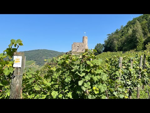 Wandelen langs de Moezel - Moselsteig etappe 10 - Osann Monzel-Bernkastel Kues
