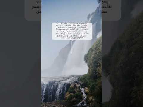 حقبة جديدة لروبوتات التي تعمل بالذكاء الاصطناعي