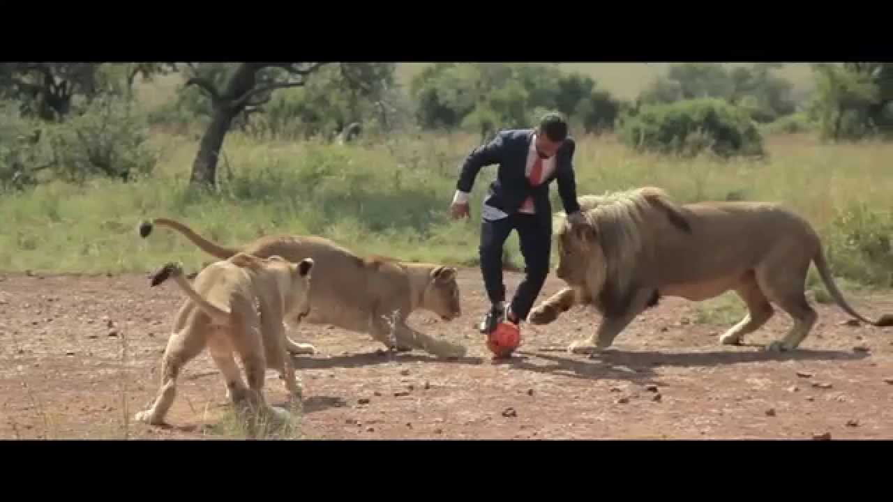 A world's first: Kevin Richardson playing football with wild lions (FULL VIDEO) - YouTube