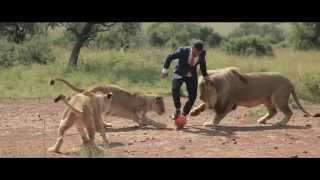 A world's first: Kevin Richardson playing football with wild lions (FULL VIDEO)