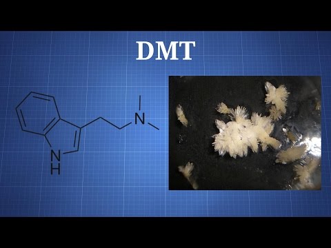 Dimethyltryptamine (DMT): What You Need To Know