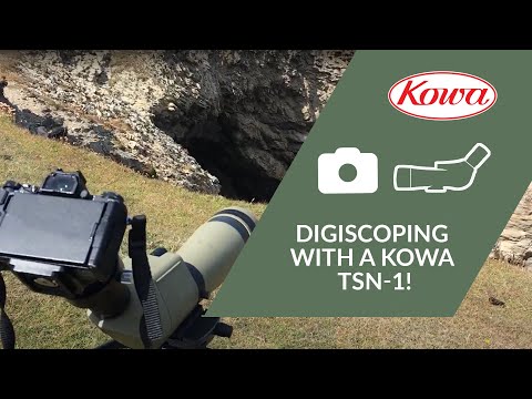 Digiscoping with a Kowa TSN-1!