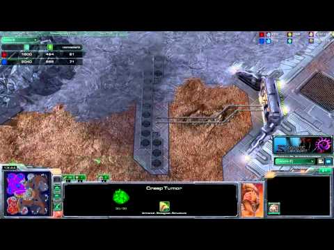 Starcraft 2 [HD] Sanatic vs. PuCK