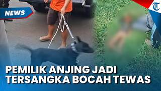Tewaskan Bocah, Pemilik Anjing di Bogor jadi Tersangka setelah Bersaksi ke Polisi