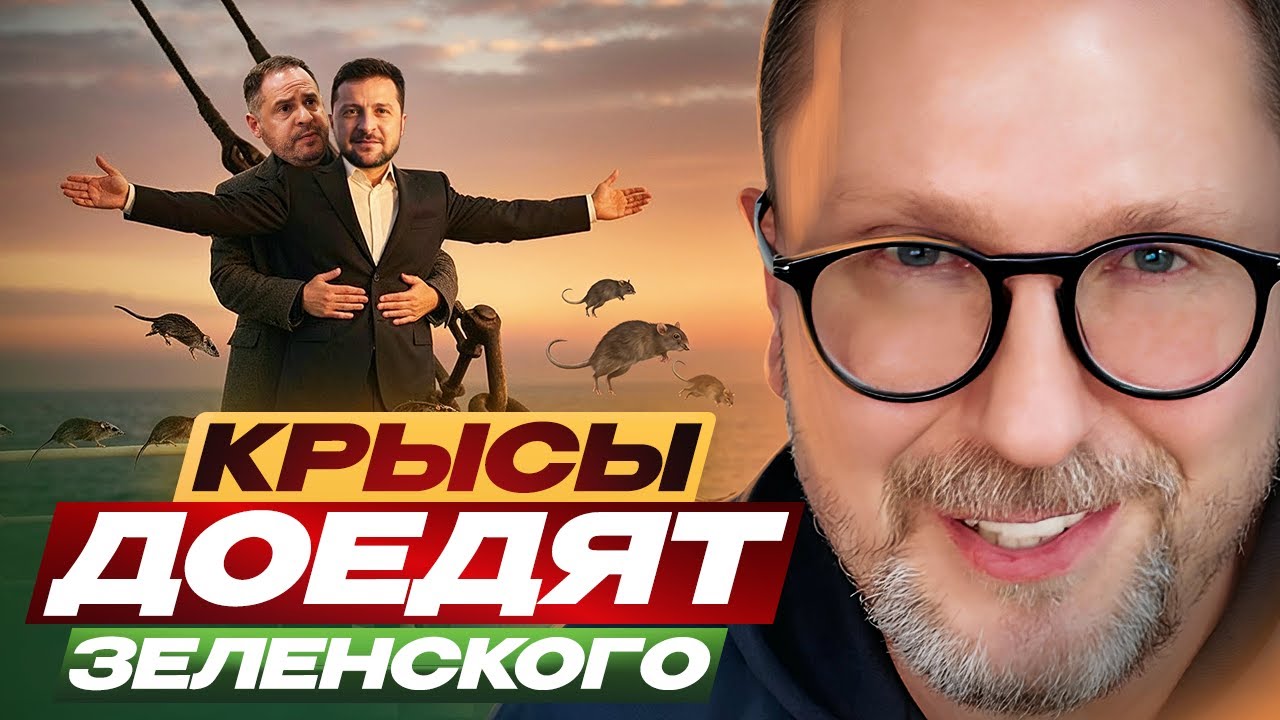 Крысы доедят Зеленского
