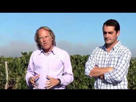 JAMESSUCKLING.COM - Bordeaux - Château Pétrus - En Primeur 2009