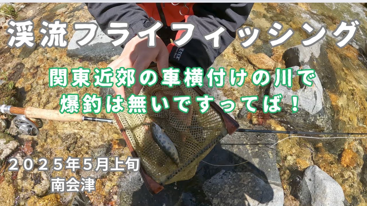 アクセスの良い渓流はスレっスレです【２０２５年５月上旬　南会津の渓流】