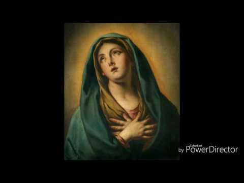 download lagu mp3 mp4 Srgio Augusto Bustamante, download lagu Srgio Augusto Bustamante gratis, unduh video klip Srgio Augusto Bustamante