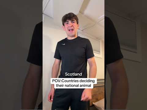 Scotland 😭 #animal #skit