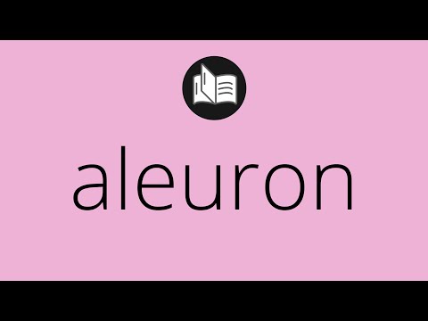 What ALEURON means • Meaning of ALEURON • aleuron MEANING • aleuron DEFINITION