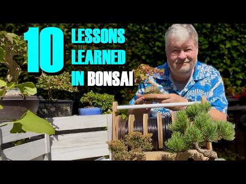 10 ważnych lekcji, które zadecydują o sukcesie lub porażce Twojego bonsai