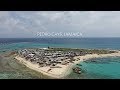 Protecting Jamaica S Fishing Banks Pedro Bank S First Female Warden