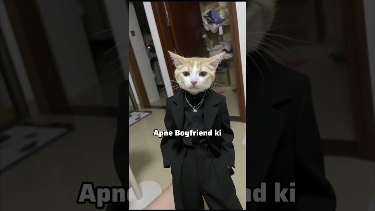 Boyfriend ki sister 👽💔 #lol #cat #memes #foryou #shortsfeed #trending #funny  @stvryy_87