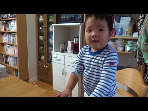 初代仮面ライダー（1971年　藤岡弘）の歌「レッツゴー!! ライダーキック 」を上手に歌う育。