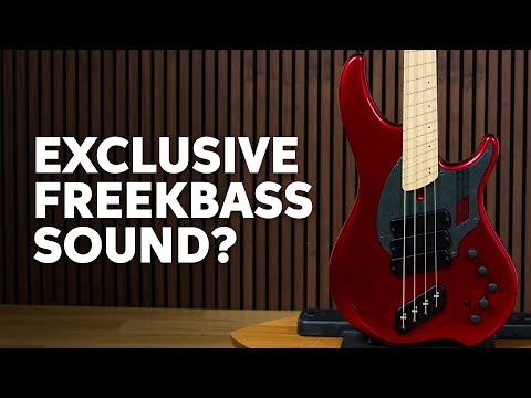 Dingwall NG3 Adam “Nolly” Getgood Bass Demo: Sweetwater-only Style ft. Freekbass