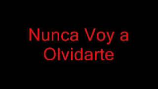 NUNCA VOY A OLVIDARTE --  CRISTIAN CASTRO